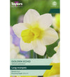 Narcissus Golden Echo Bulbs - size, care level, ideal position and flowering months