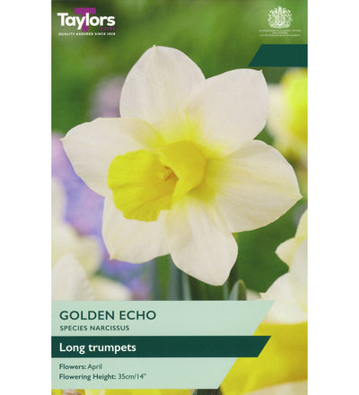 Narcissus Golden Echo Bulbs - size, care level, ideal position and flowering months
