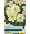 Narcissus Minnow Bulbs - size, care level, ideal position and flowering months