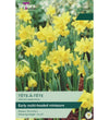 Narcissus Tête-à-Tête Bulbs - size, care level, ideal position and flowering months
