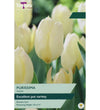 Tulip Purissima Bulbs - size, care level, ideal position and flowering months