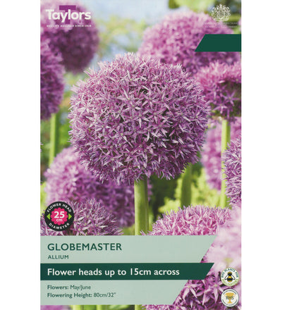 Allium Globemaster Bulb - size, care level, ideal position and flowering months