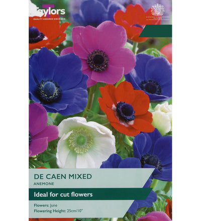 Anemone De Caen Bulbs - size, care level, ideal position and flowering months
