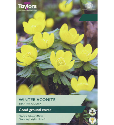 Winter Aconite Bulbs - size, care level, ideal position and flowering months