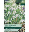 Snowdrop Bulbs - size, care level, ideal position and flowering months