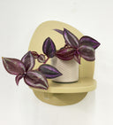 Taupe Pot