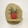 Mini oyster plant & pot