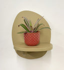Pink Pot