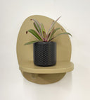 Grey Pot