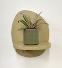 Khaki Pot