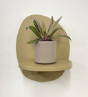 Taupe Pot