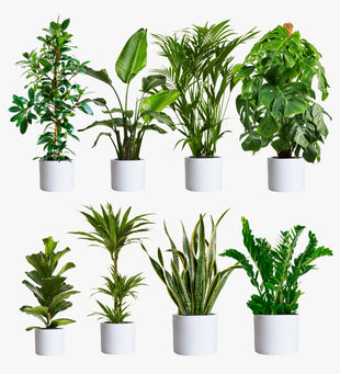 Cool Grey Large Bundle