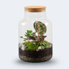 Terrarium Kit
