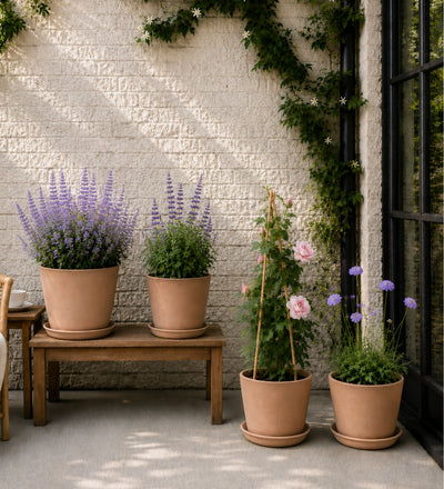 The Cottage Garden