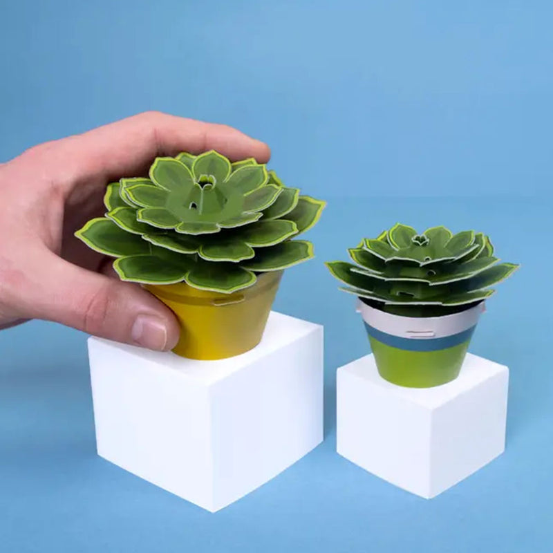 Succulent Mini Paper Plant Kit
