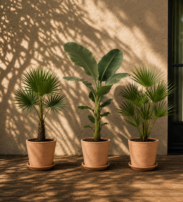 Outdoor Bundles