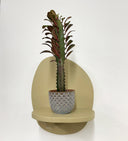 Blue Pot