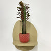 Mini Euphorbia Trigona Rubra & pot