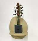 Grey Pot