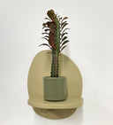 Khaki Pot