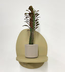Taupe Pot