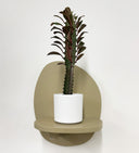 White Pot