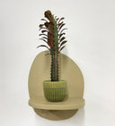 Green Pot