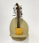 Mustard Pot