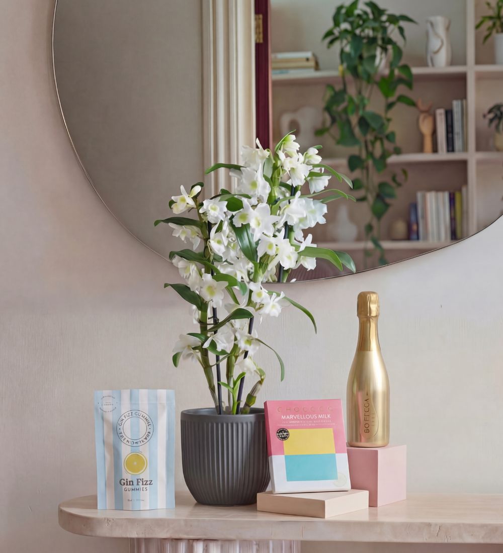 Ultimate Spring Bundle