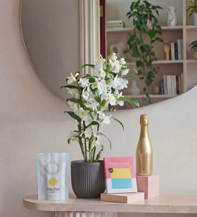 Ultimate Spring Bundle
