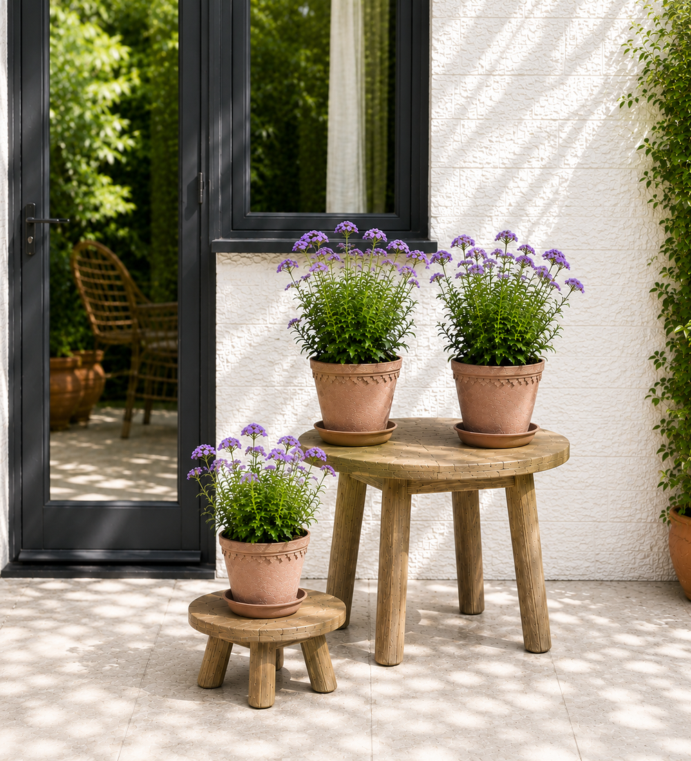 Verbena Trio