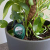 Plant Moisture Meter