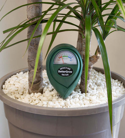 peace lily moisture meter level Plant Moisture Meter
