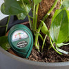Plant Moisture Meter
