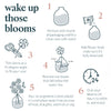 Berry Bloom