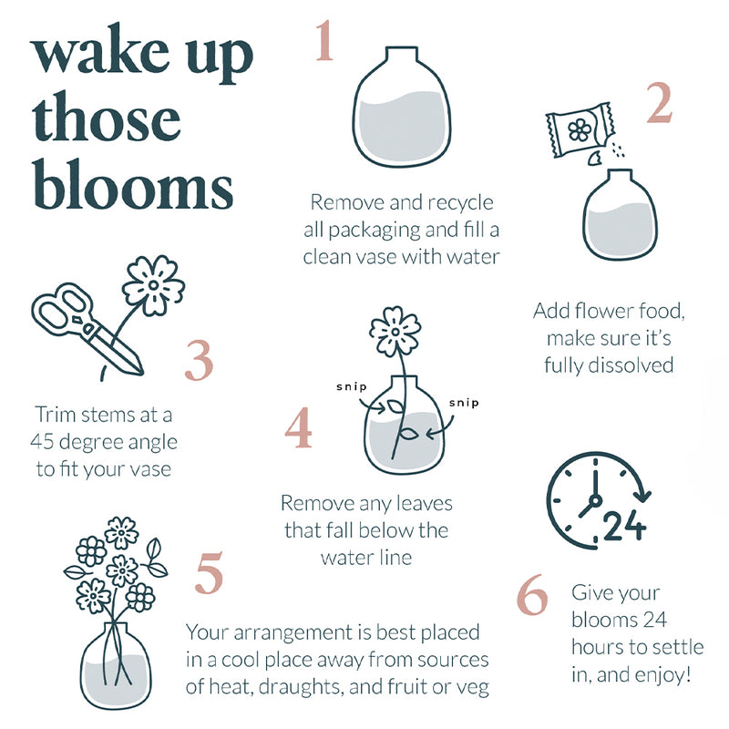 Berry Bloom