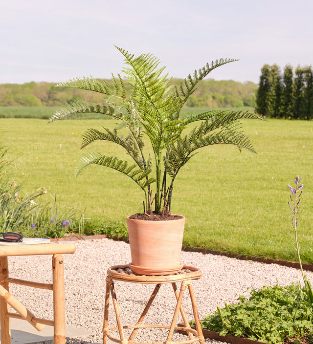 Artificial Woodwardia Fern (UV protected)