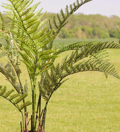 Artificial Woodwardia Fern (uv protected)