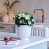 Hellebore & Pot