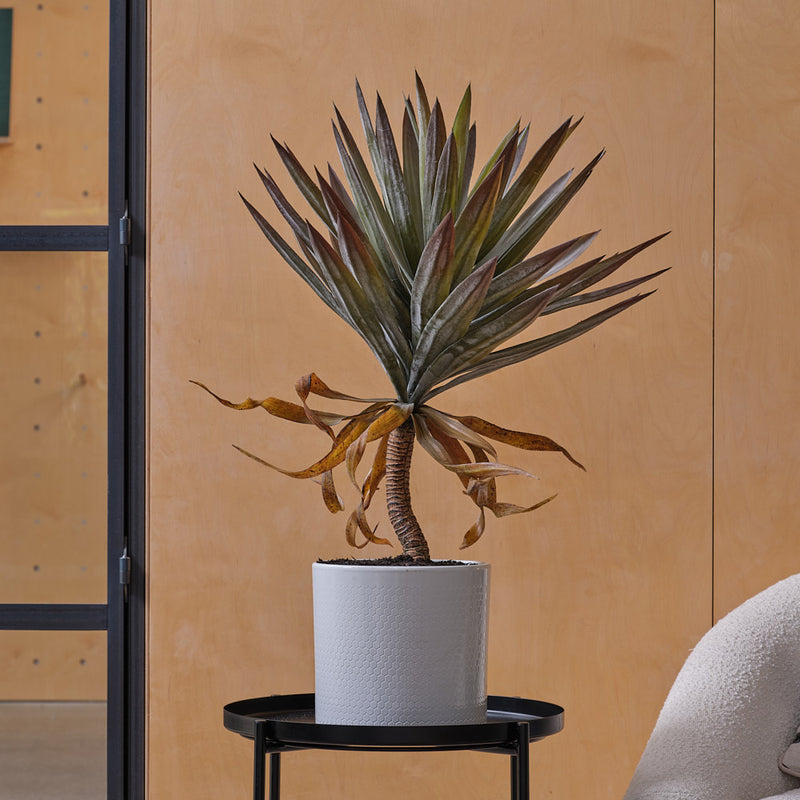 Artificial Yucca Plant