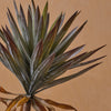 Artificial Yucca Plant