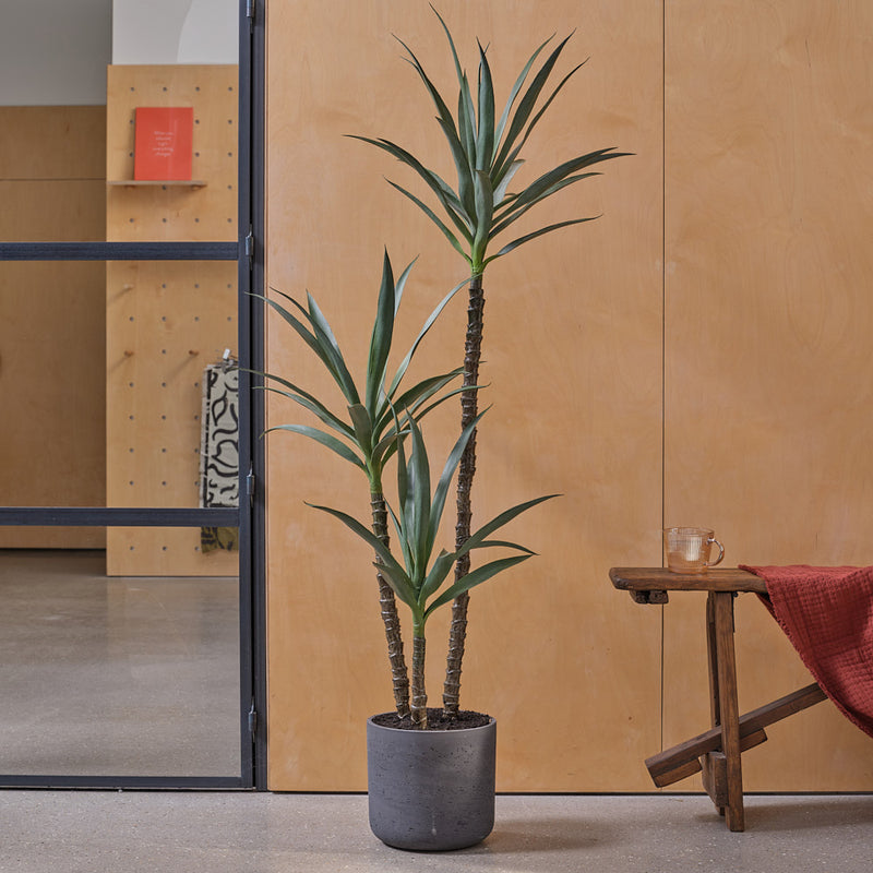 Artificial Yucca Plant