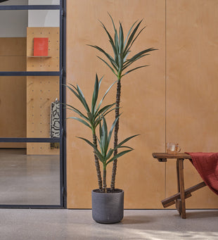 Artificial Yucca Plant