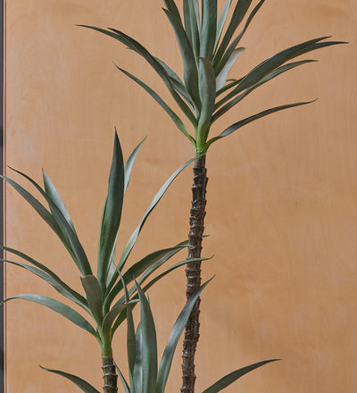 Artificial Yucca Plant