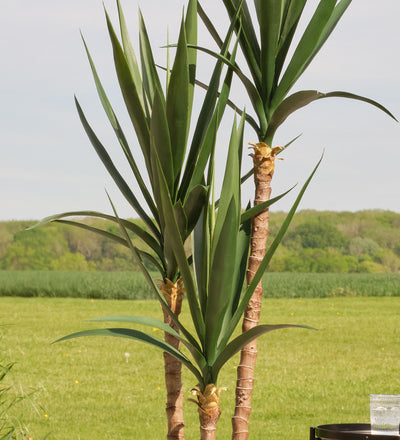 Artificial Yucca Plant (UV protected)