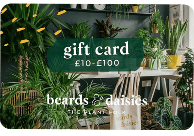 eGift card