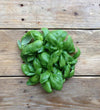 Piccolo Basil Genovese Seeds