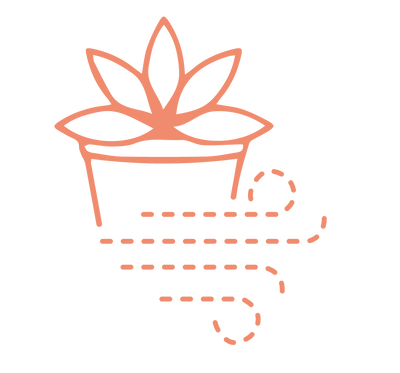 Air purifying care icon