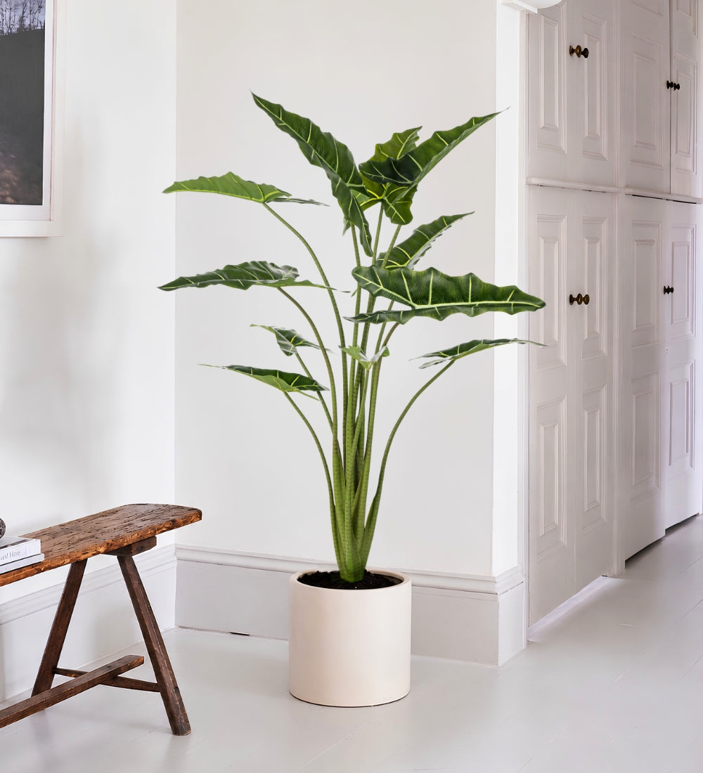 Artificial Alocasia Frydek