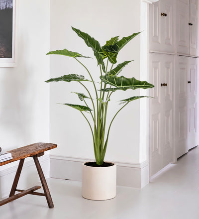 Artificial Alocasia Frydek